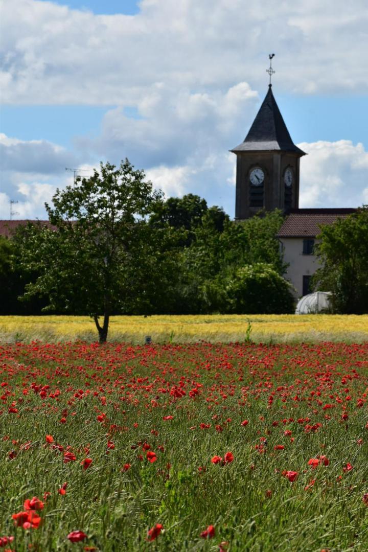 Apartmán Bergerie Francique Lachaussee Exteriér fotografie